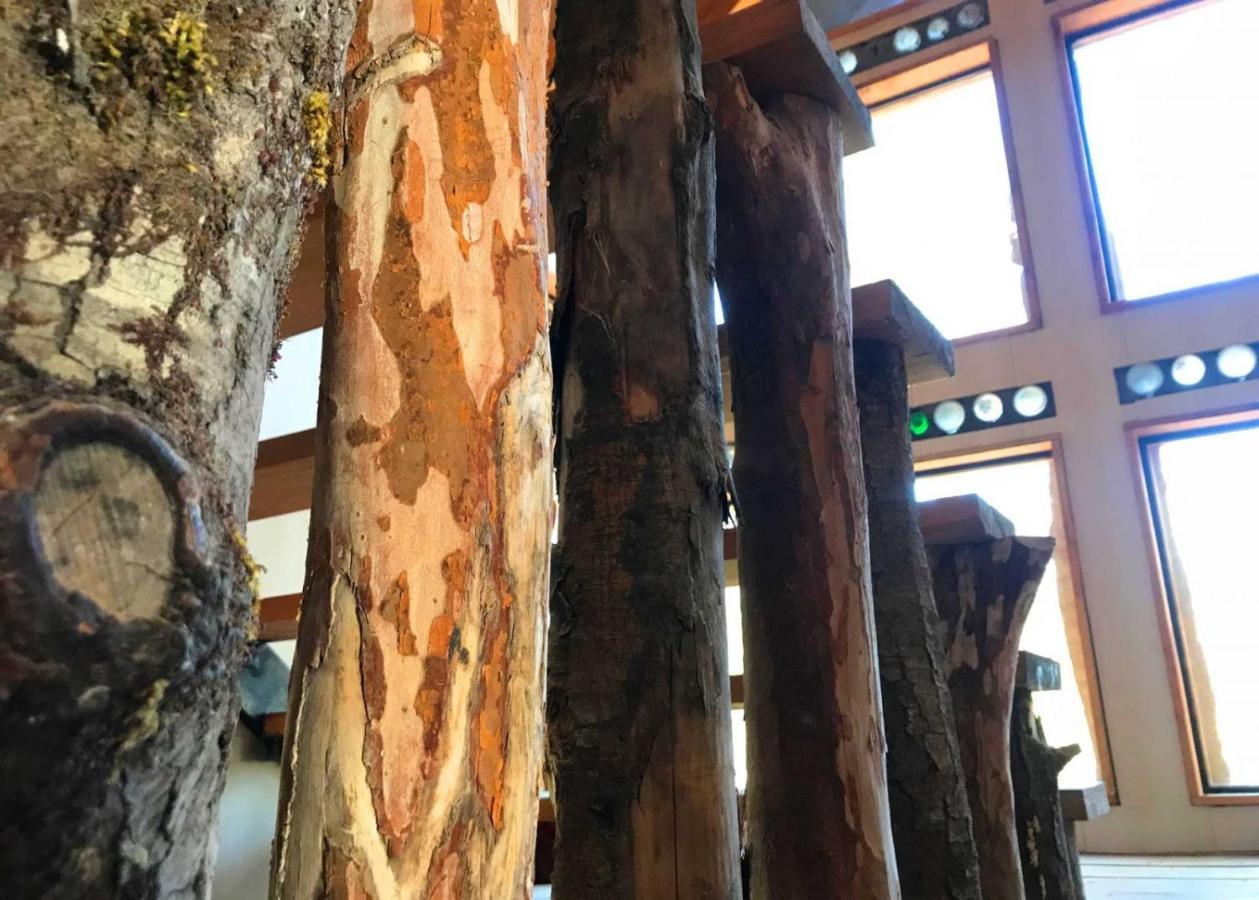 לה אנסנדה La Colmena Eco Lodge מראה חיצוני תמונה