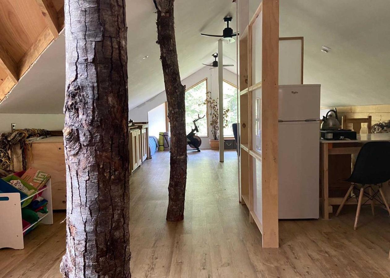 לה אנסנדה La Colmena Eco Lodge מראה חיצוני תמונה