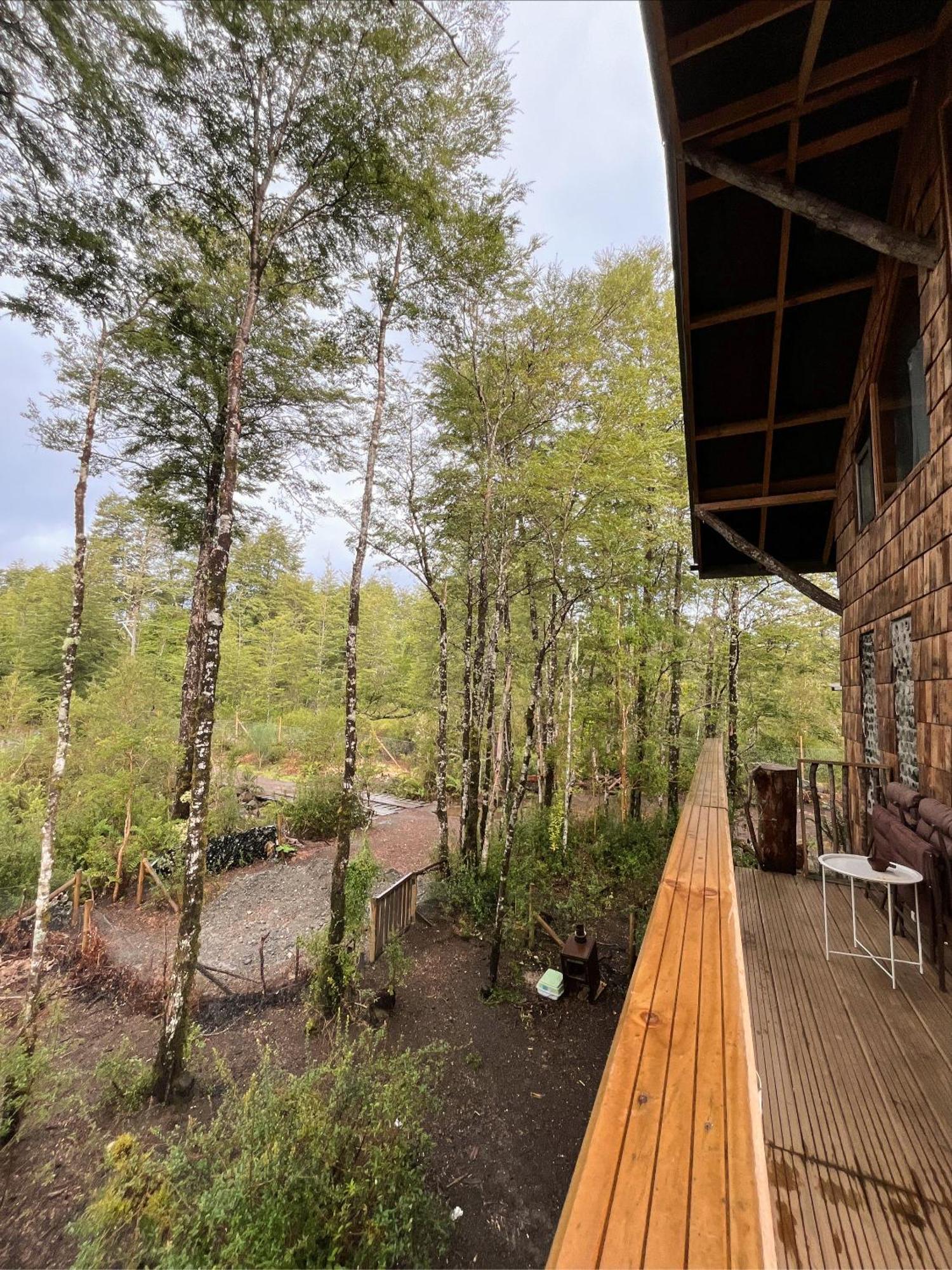לה אנסנדה La Colmena Eco Lodge מראה חיצוני תמונה